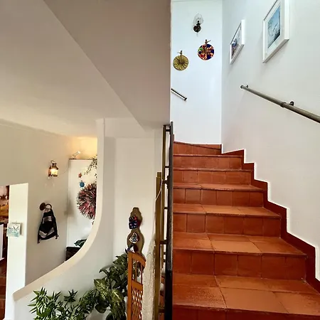 Traditional By Homing